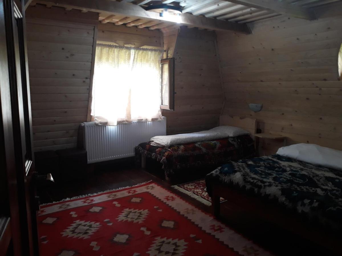 Pensiunea La Gorgan Vadu Izei Εξωτερικό φωτογραφία