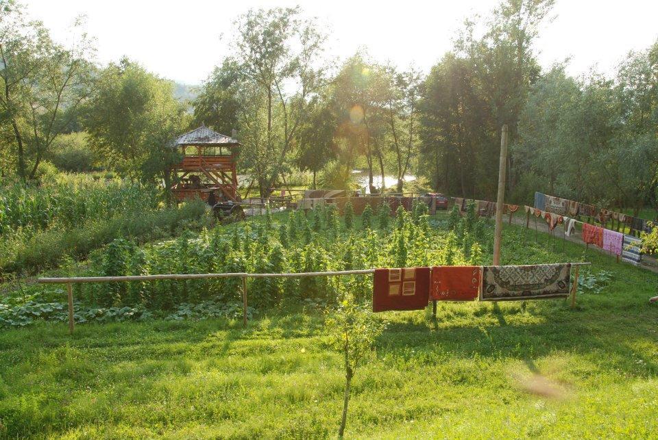 Pensiunea La Gorgan Vadu Izei Εξωτερικό φωτογραφία